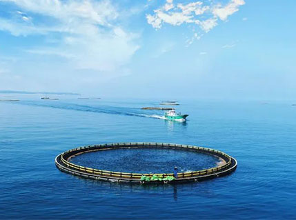 品牌輸出 | 翔泰“可持續水產養殖”出海意大利！
